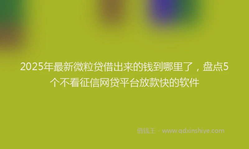 2025年最新微粒贷借出来的钱到哪里了，盘点5个不看征信网贷平台放款快的软件