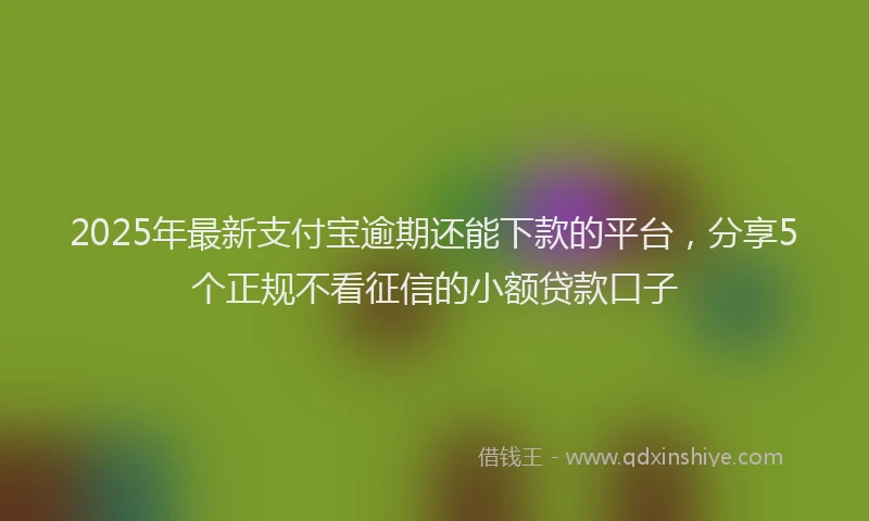 2025年最新支付宝逾期还能下款的平台，分享5个正规不看征信的小额贷款口子