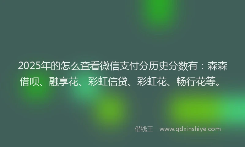 2025年的怎么查看微信支付分历史分数有：森森借呗、融享花、彩虹信贷、彩虹花、畅行花等。