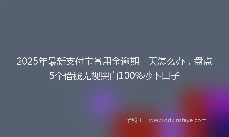 2025年最新支付宝备用金逾期一天怎么办，盘点5个借钱无视黑白100%秒下口子