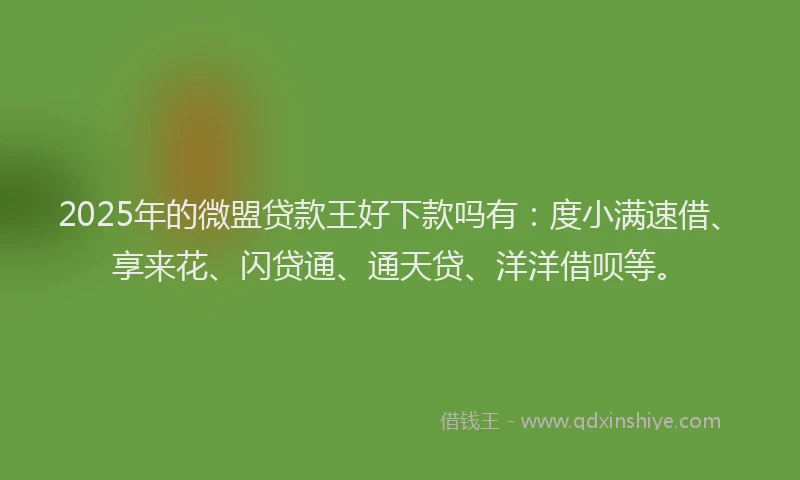 2025年的微盟贷款王好下款吗有：度小满速借、享来花、闪贷通、通天贷、洋洋借呗等。