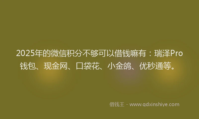 2025年的微信积分不够可以借钱嘛有：瑞泽Pro钱包、现金网、口袋花、小金鸽、优秒通等。