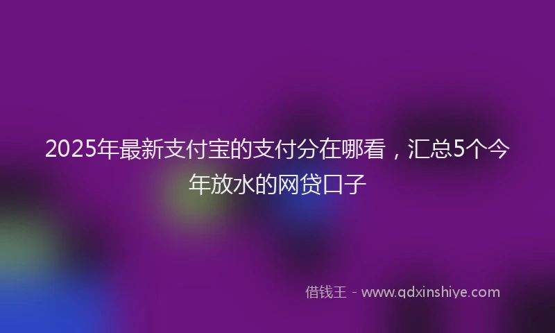 2025年最新支付宝的支付分在哪看，汇总5个今年放水的网贷口子