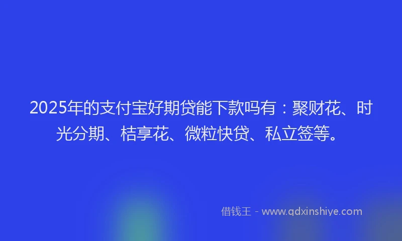 2025年的支付宝好期贷能下款吗有：聚财花、时光分期、桔享花、微粒快贷、私立签等。