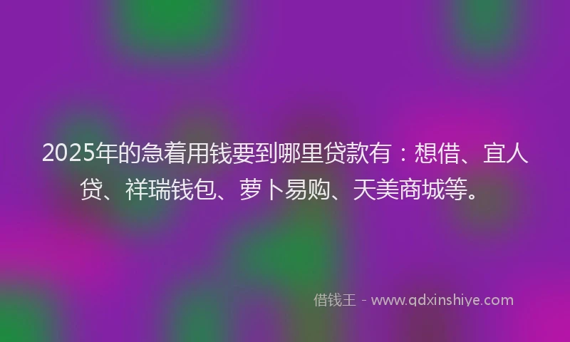 2025年的急着用钱要到哪里贷款有：想借、宜人贷、祥瑞钱包、萝卜易购、天美商城等。