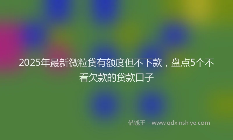 2025年最新微粒贷有额度但不下款，盘点5个不看欠款的贷款口子