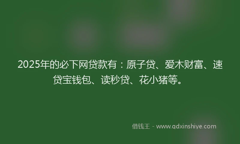 2025年的必下网贷款有：原子贷、爱木财富、速贷宝钱包、读秒贷、花小猪等。