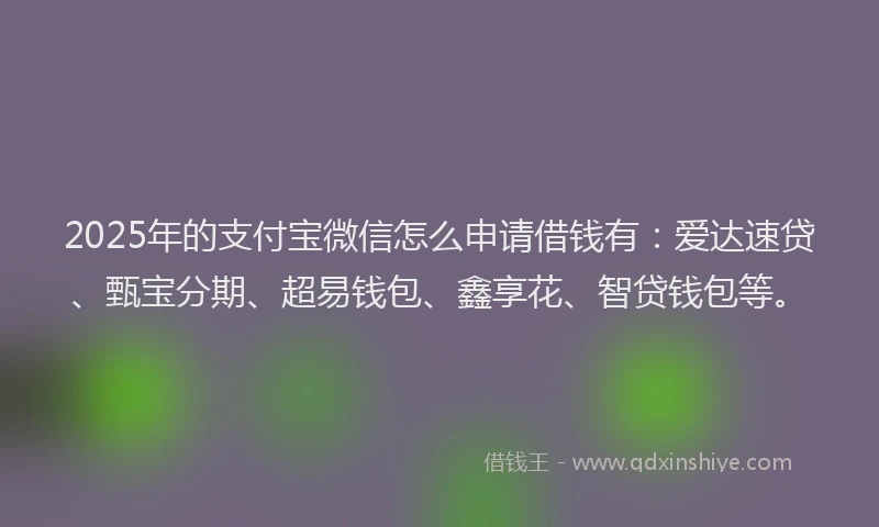 2025年的支付宝微信怎么申请借钱有：爱达速贷、甄宝分期、超易钱包、鑫享花、智贷钱包等。