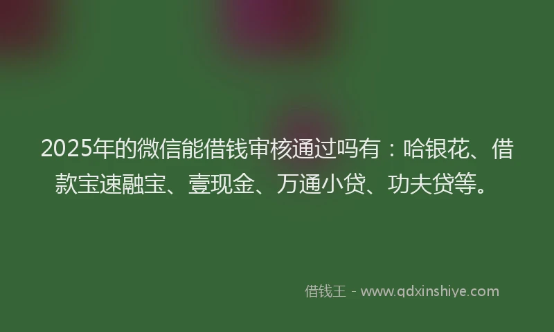 2025年的微信能借钱审核通过吗有：哈银花、借款宝速融宝、壹现金、万通小贷、功夫贷等。