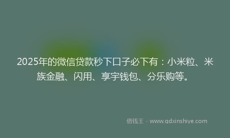 2025年的微信贷款秒下口子必下有：小米粒、米族金融、闪用、享宇钱包、分乐购等。