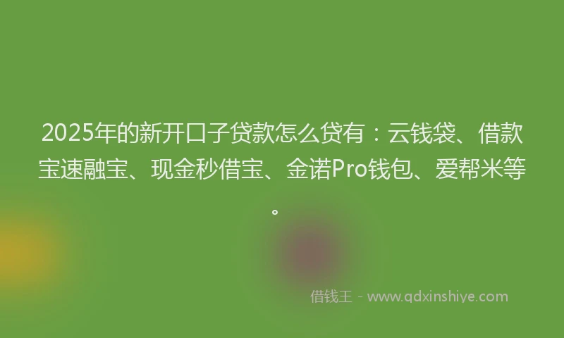 2025年的新开口子贷款怎么贷有：云钱袋、借款宝速融宝、现金秒借宝、金诺Pro钱包、爱帮米等。