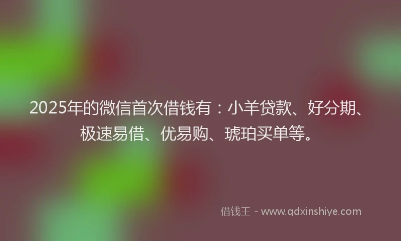 2025年的微信首次借钱有：小羊贷款、好分期、极速易借、优易购、琥珀买单等。