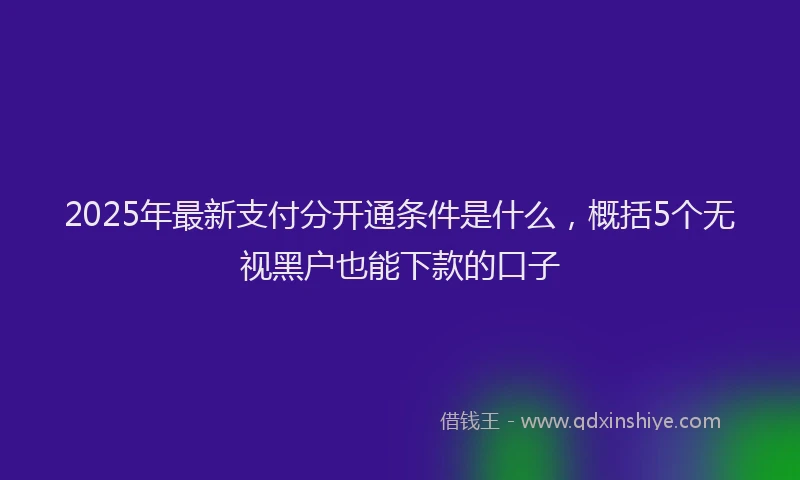 2025年最新支付分开通条件是什么，概括5个无视黑户也能下款的口子