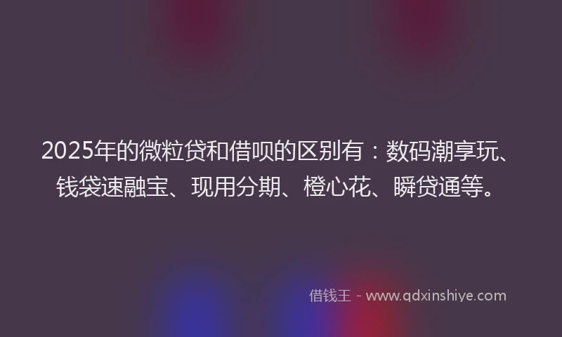 2025年的微粒贷和借呗的区别有：数码潮享玩、钱袋速融宝、现用分期、橙心花、瞬贷通等。