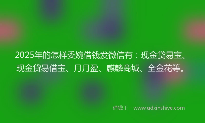 2025年的怎样委婉借钱发微信有：现金贷易宝、现金贷易借宝、月月盈、麒麟商城、全金花等。