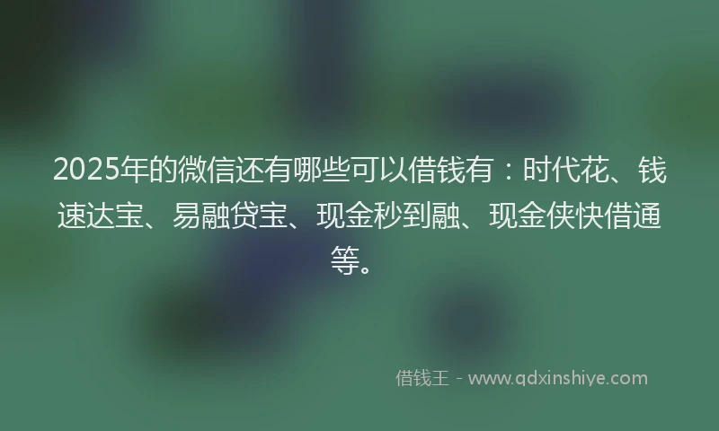 2025年的微信还有哪些可以借钱有：时代花、钱速达宝、易融贷宝、现金秒到融、现金侠快借通等。