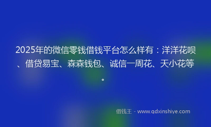 2025年的微信零钱借钱平台怎么样有：洋洋花呗、借贷易宝、森森钱包、诚信一周花、天小花等。