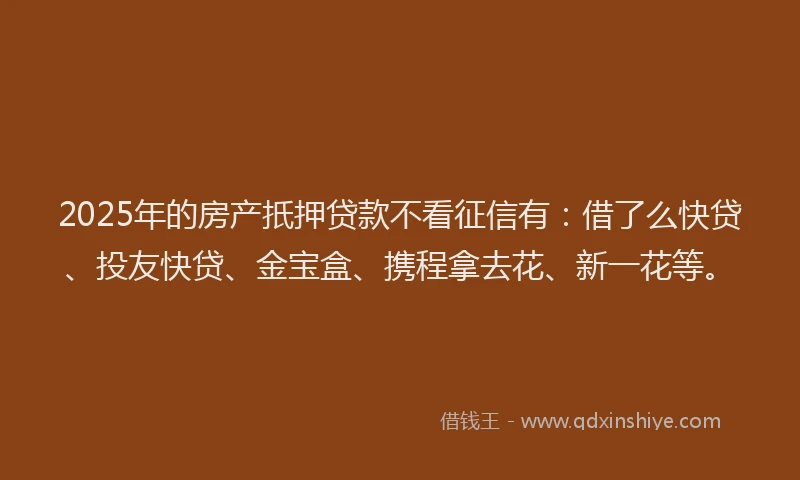2025年的房产扺押贷款不看征信有：借了么快贷、投友快贷、金宝盒、携程拿去花、新一花等。