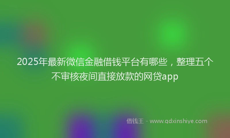 2025年最新微信金融借钱平台有哪些，整理五个不审核夜间直接放款的网贷app
