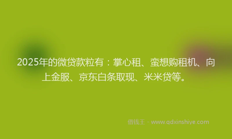 2025年的微贷款粒有：掌心租、蛮想购租机、向上金服、京东白条取现、米米贷等。