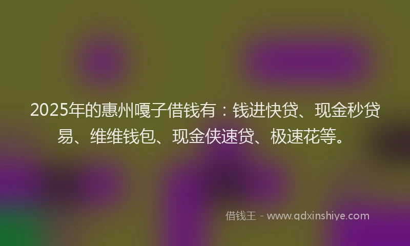 2025年的惠州嘎子借钱有：钱进快贷、现金秒贷易、维维钱包、现金侠速贷、极速花等。