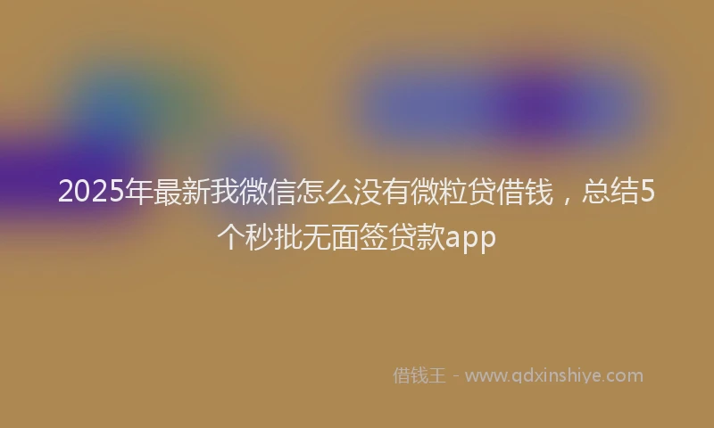2025年最新我微信怎么没有微粒贷借钱，总结5个秒批无面签贷款app