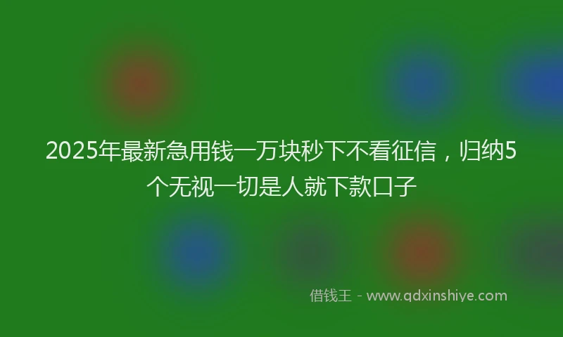 2025年最新急用钱一万块秒下不看征信，归纳5个无视一切是人就下款口子