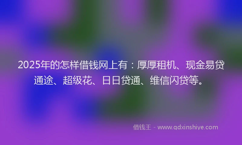 2025年的怎样借钱网上有：厚厚租机、现金易贷通途、超级花、日日贷通、维信闪贷等。