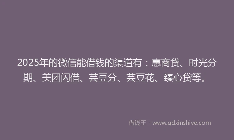 2025年的微信能借钱的渠道有：惠商贷、时光分期、美团闪借、芸豆分、芸豆花、臻心贷等。