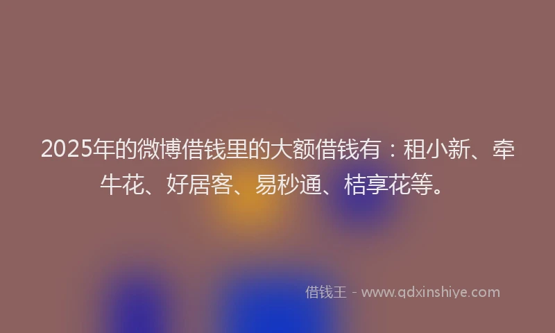 2025年的微博借钱里的大额借钱有：租小新、牵牛花、好居客、易秒通、桔享花等。