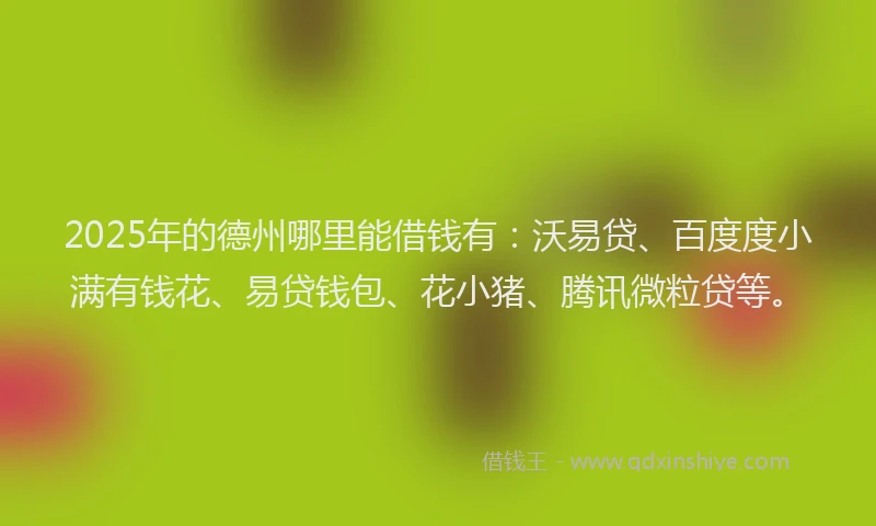 2025年的德州哪里能借钱有：沃易贷、百度度小满有钱花、易贷钱包、花小猪、腾讯微粒贷等。