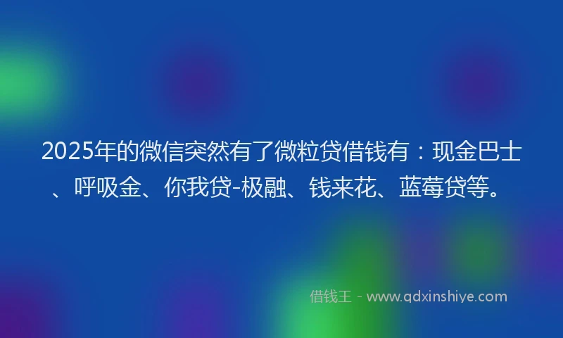 2025年的微信突然有了微粒贷借钱有：现金巴士、呼吸金、你我贷-极融、钱来花、蓝莓贷等。