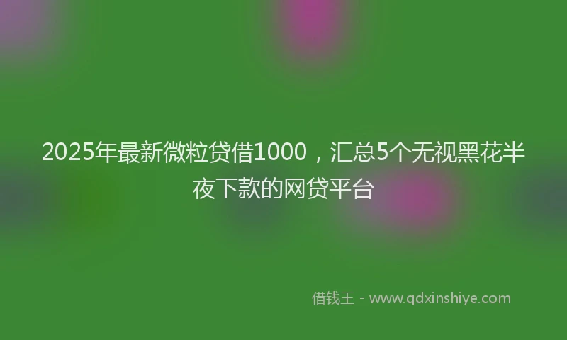 2025年最新微粒贷借1000，汇总5个无视黑花半夜下款的网贷平台