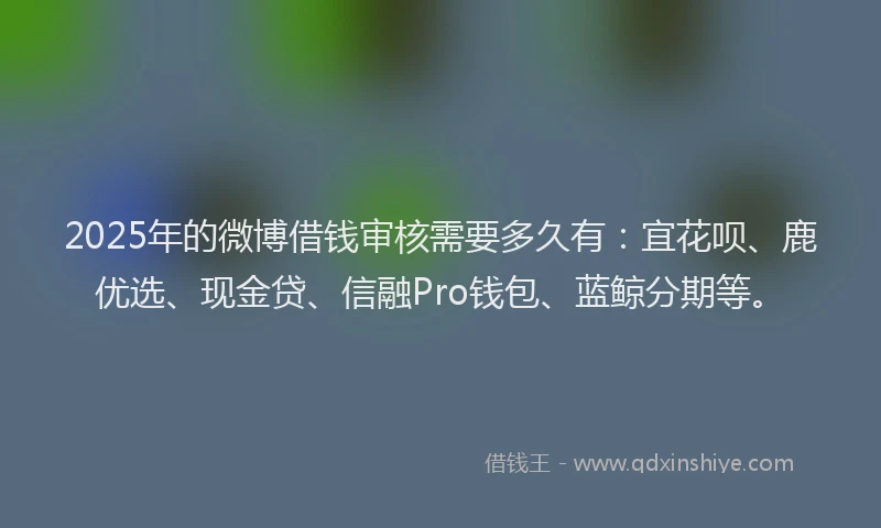 2025年的微博借钱审核需要多久有：宜花呗、鹿优选、现金贷、信融Pro钱包、蓝鲸分期等。