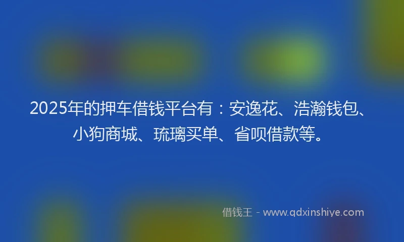 2025年的押车借钱平台有：安逸花、浩瀚钱包、小狗商城、琉璃买单、省呗借款等。