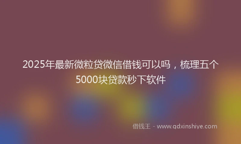 2025年最新微粒贷微信借钱可以吗，梳理五个5000块贷款秒下软件
