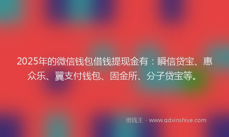 2025年的微信钱包借钱提现金有：瞬信贷宝、惠众乐、翼支付钱包、固金所、分子贷宝等。