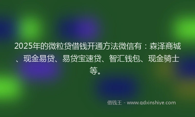 2025年的微粒贷借钱开通方法微信有：森泽商城、现金易贷、易贷宝速贷、智汇钱包、现金骑士等。