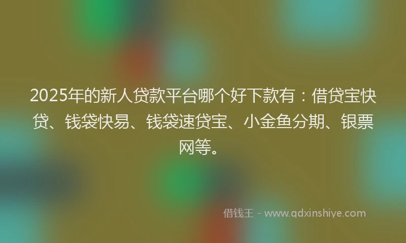 2025年的新人贷款平台哪个好下款有：借贷宝快贷、钱袋快易、钱袋速贷宝、小金鱼分期、银票网等。