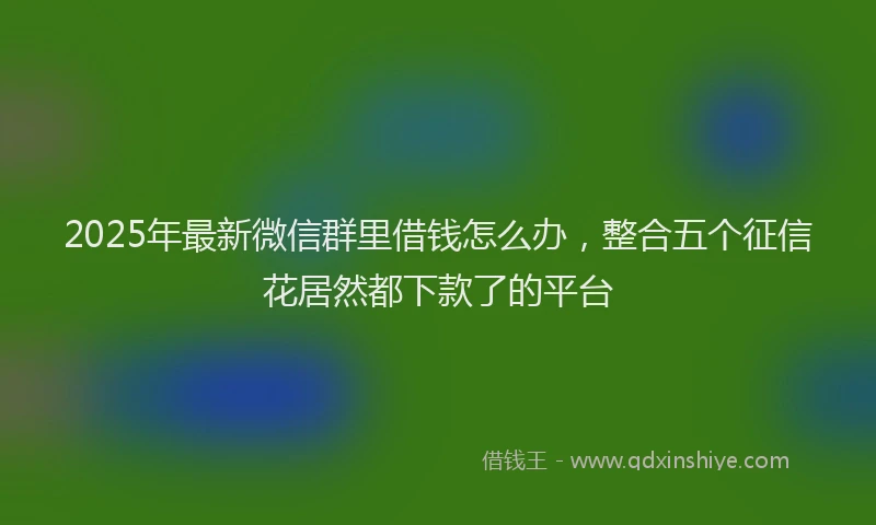 2025年最新微信群里借钱怎么办，整合五个征信花居然都下款了的平台