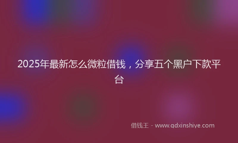 2025年最新怎么微粒借钱，分享五个黑户下款平台