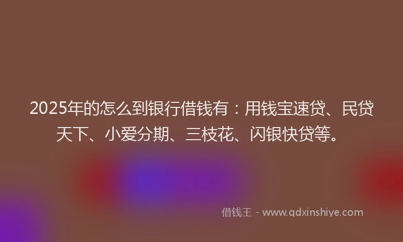 2025年的怎么到银行借钱有：用钱宝速贷、民贷天下、小爱分期、三枝花、闪银快贷等。