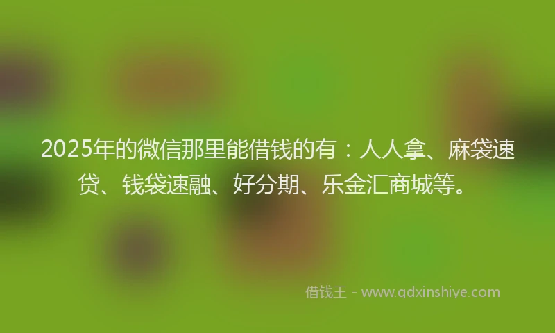 2025年的微信那里能借钱的有：人人拿、麻袋速贷、钱袋速融、好分期、乐金汇商城等。