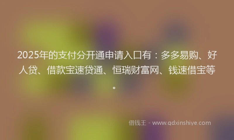 2025年的支付分开通申请入口有：多多易购、好人贷、借款宝速贷通、恒瑞财富网、钱速借宝等。