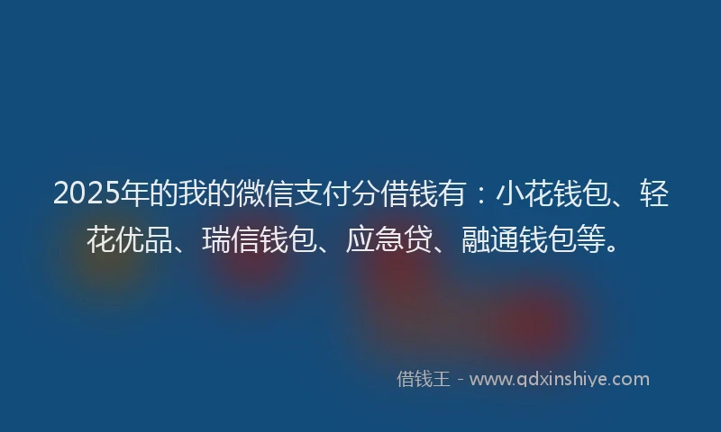 2025年的我的微信支付分借钱有：小花钱包、轻花优品、瑞信钱包、应急贷、融通钱包等。
