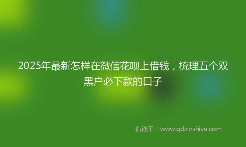2025年最新怎样在微信花呗上借钱，梳理五个双黑户必下款的口子
