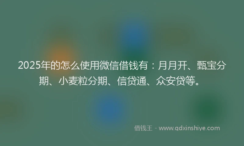 2025年的怎么使用微信借钱有：月月开、甄宝分期、小麦粒分期、信贷通、众安贷等。
