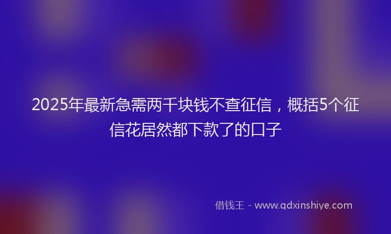 2025年最新急需两千块钱不查征信，概括5个征信花居然都下款了的口子