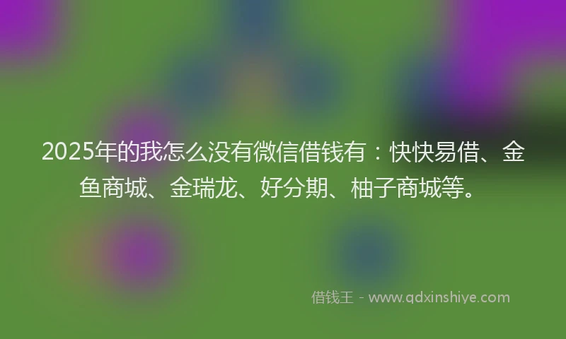 2025年的我怎么没有微信借钱有：快快易借、金鱼商城、金瑞龙、好分期、柚子商城等。