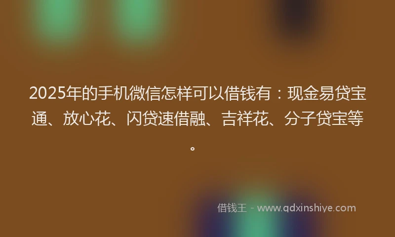 2025年的手机微信怎样可以借钱有：现金易贷宝通、放心花、闪贷速借融、吉祥花、分子贷宝等。